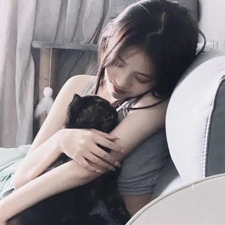 呆仔缉私