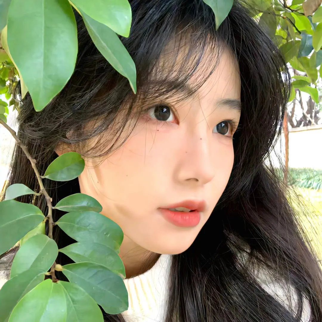 掬水月在手